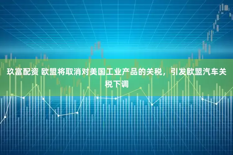 玖富配资 欧盟将取消对美国工业产品的关税，引发欧盟汽车关税下调